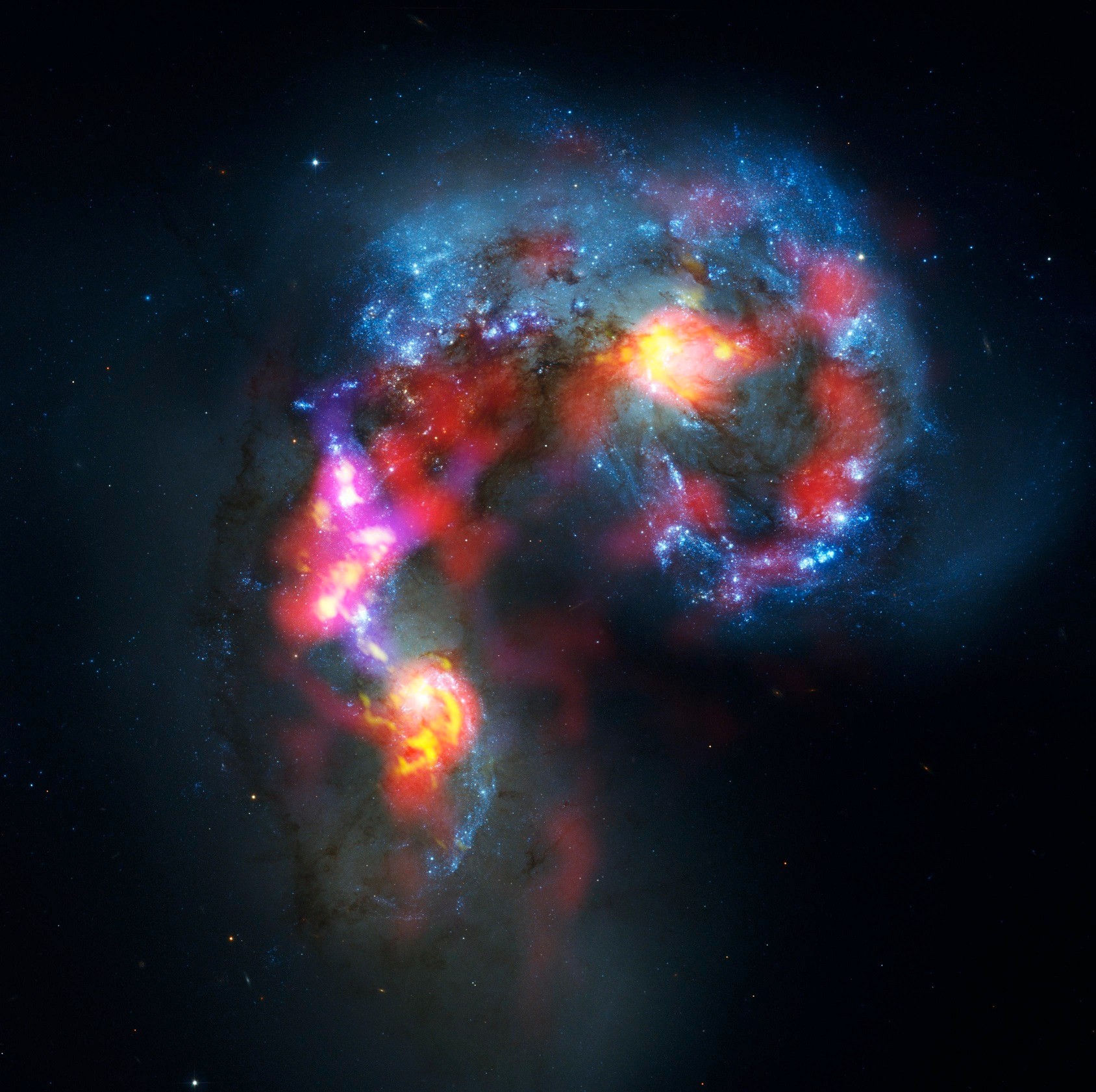 アルマ望遠鏡の観測画像