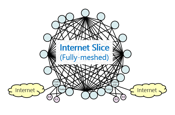 Fully-meshed Internet Slice