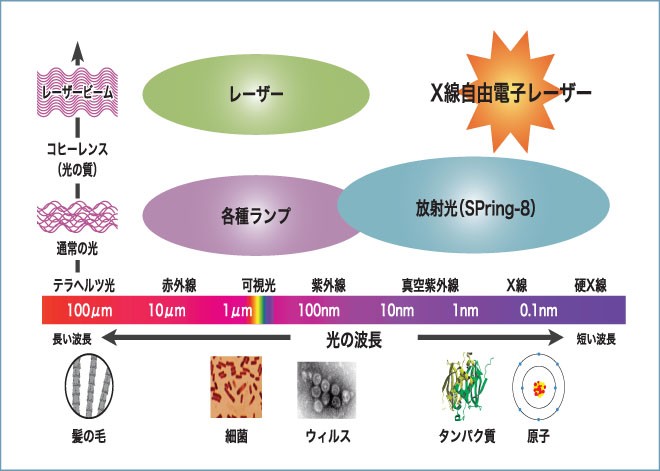 X線自由電子レーザーの概要