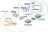 High definition relay system 1
