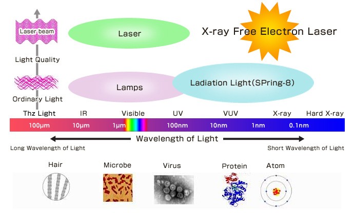 Diagram of the X-ray free electron laser