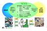 NCESの活動領域