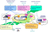 Resources Linkage for e-Science – RENKEI –