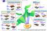 Coverage of the Interactive Remote Learning System