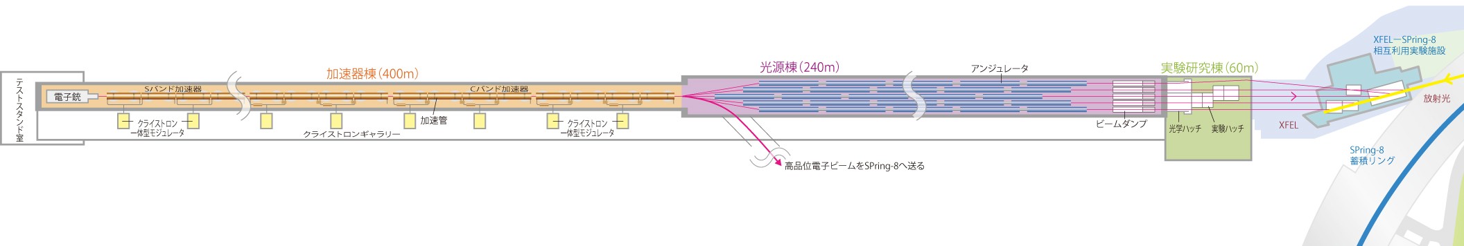 SACLA施設概要図