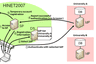 Federated authentication of academic visitors