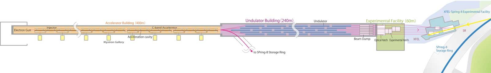 Diagram of the SACLA facility