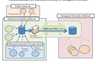 Remote/Mutual Backup Schematic