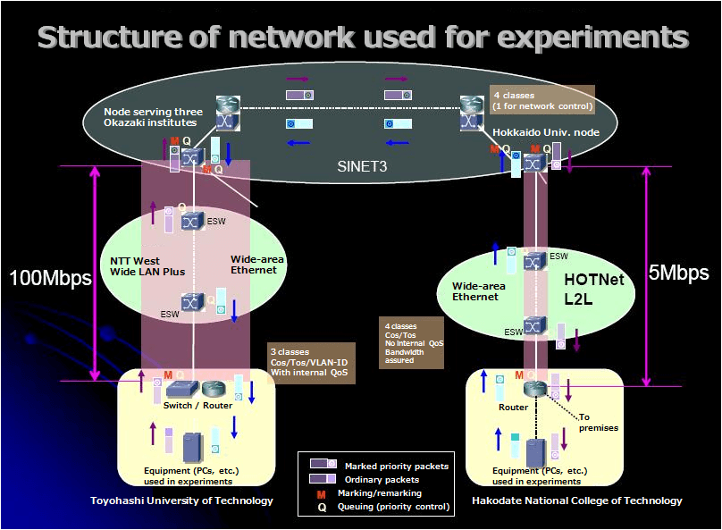Structure of network used for experiments